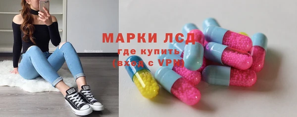 PSILOCYBIN Новодвинск