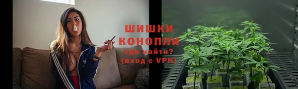 PSILOCYBIN Новодвинск