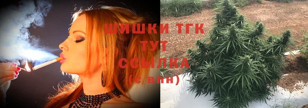 бошки Новозыбков