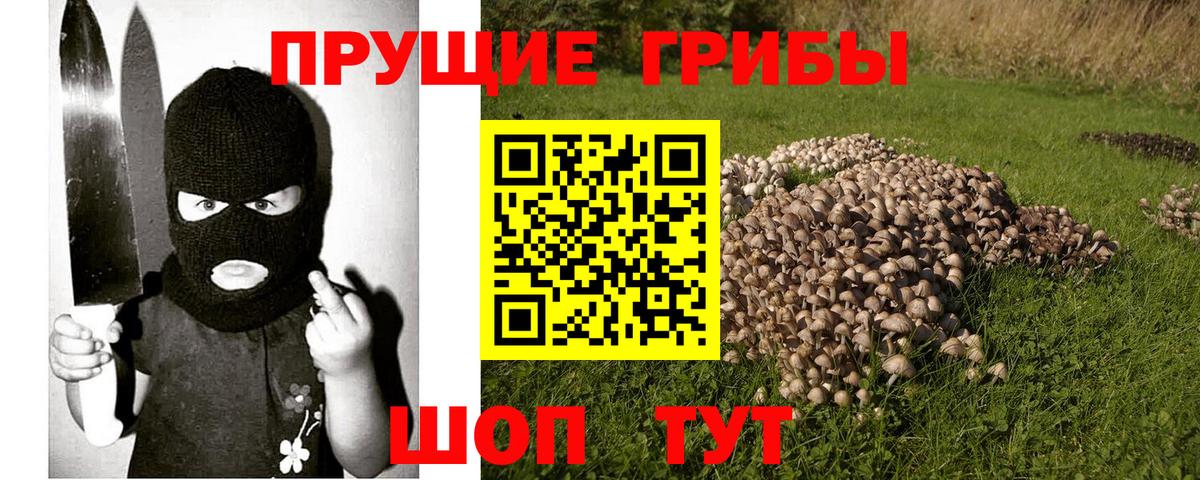 цена наркотик  Галлюциногенные грибы GOLDEN TEACHER  Галлюциногенные грибы Psilocybine cubensis  Вход с VPN  Нягань 